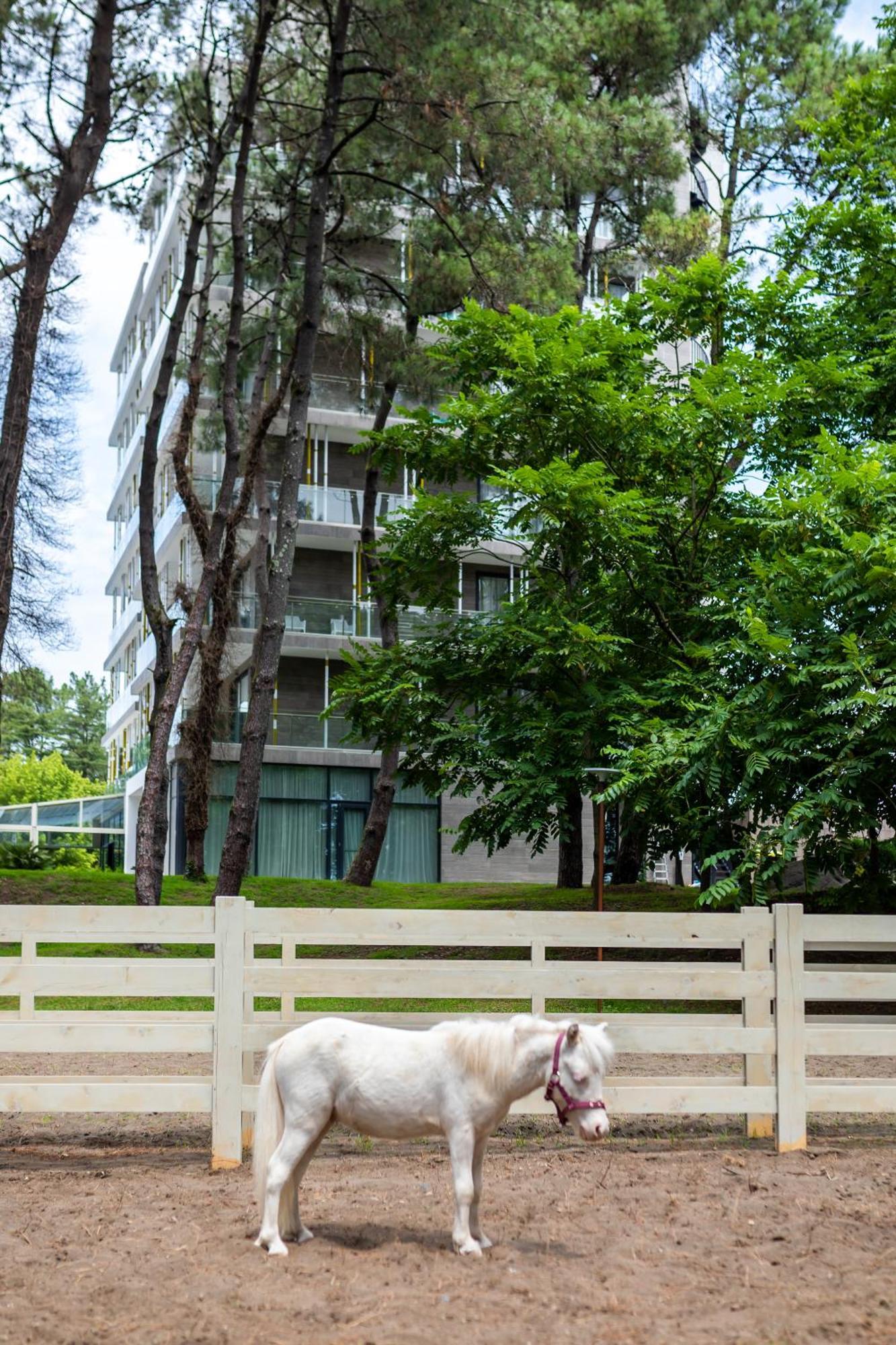 שקווטילי Magnika Resort מראה חיצוני תמונה