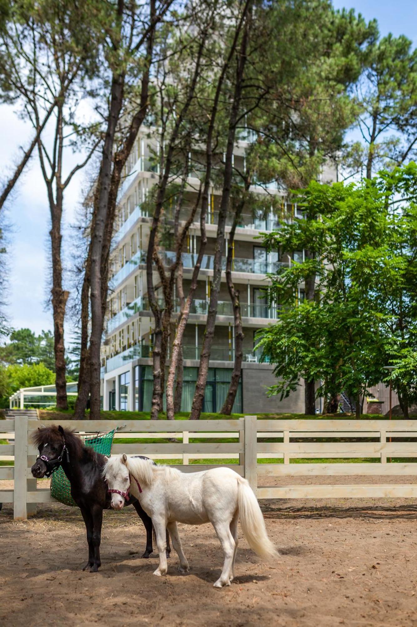 שקווטילי Magnika Resort מראה חיצוני תמונה